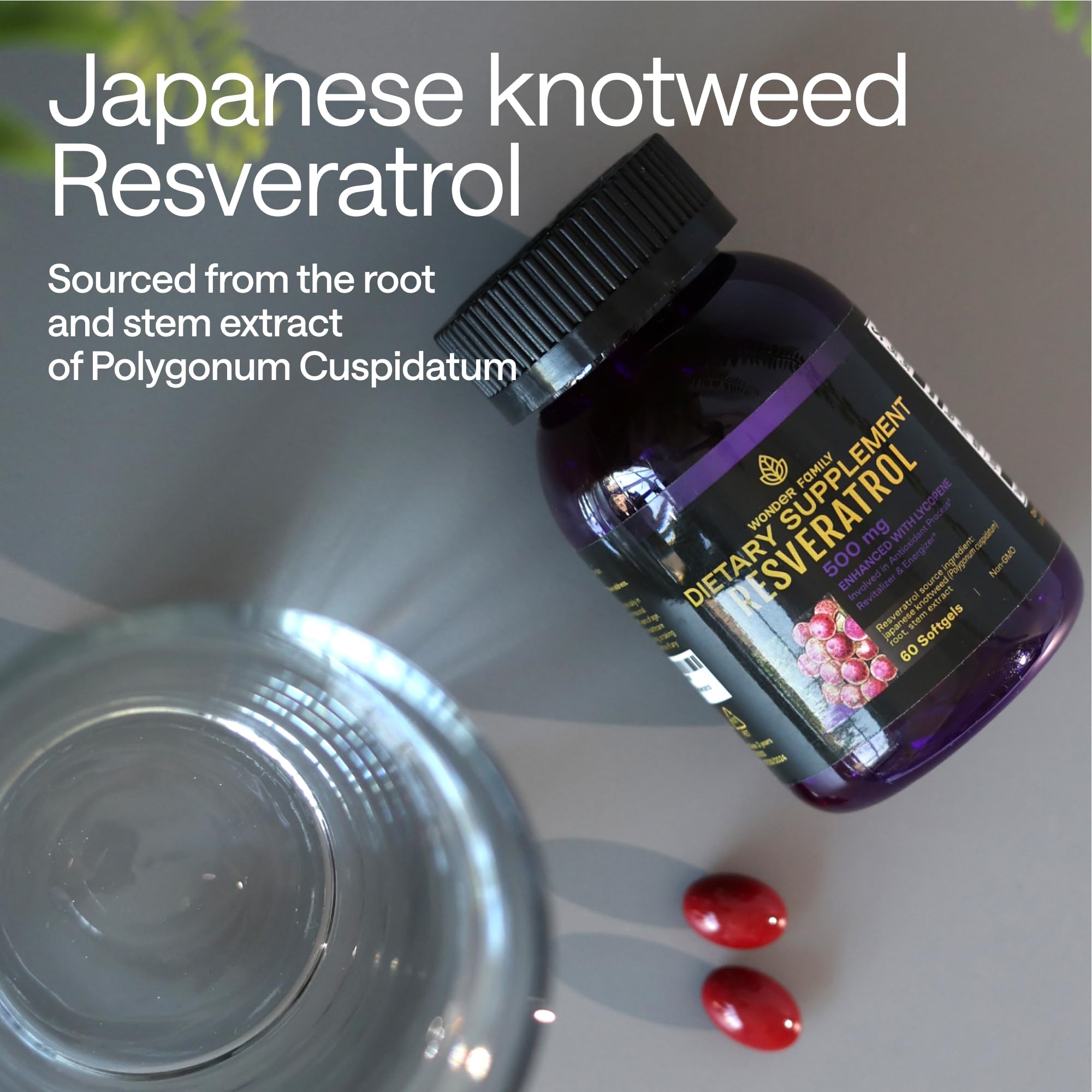 Resveratrol Supplement – Healthy Cell Support
