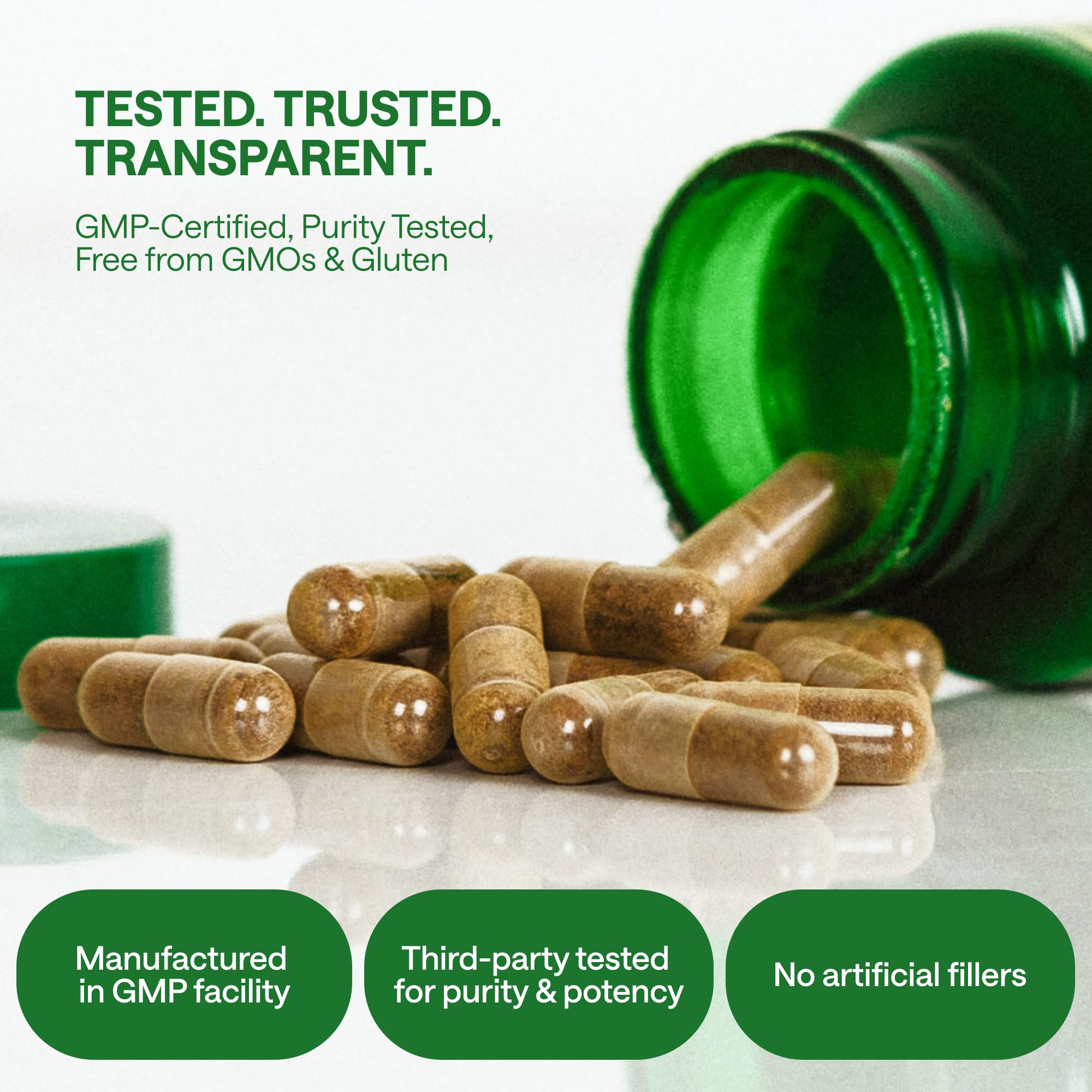 Ashwagandha Complex 800mg with GABA, L-Theanine & B6